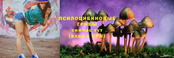 мяу мяу мука Новодвинск