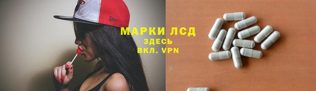 стафф Алзамай