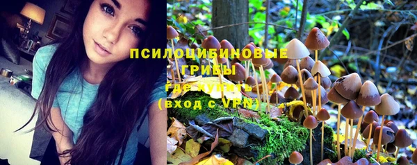 соль ск Алексин