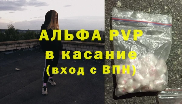 стафф Алзамай