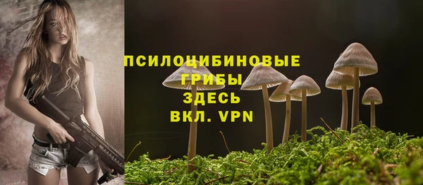 стафф Алзамай
