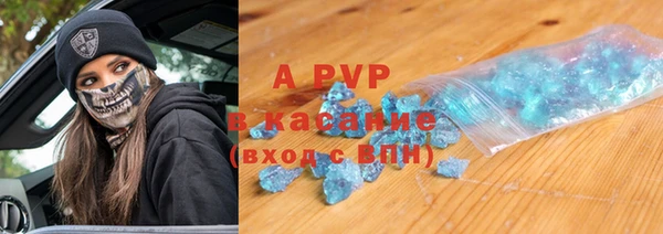 стафф Алзамай